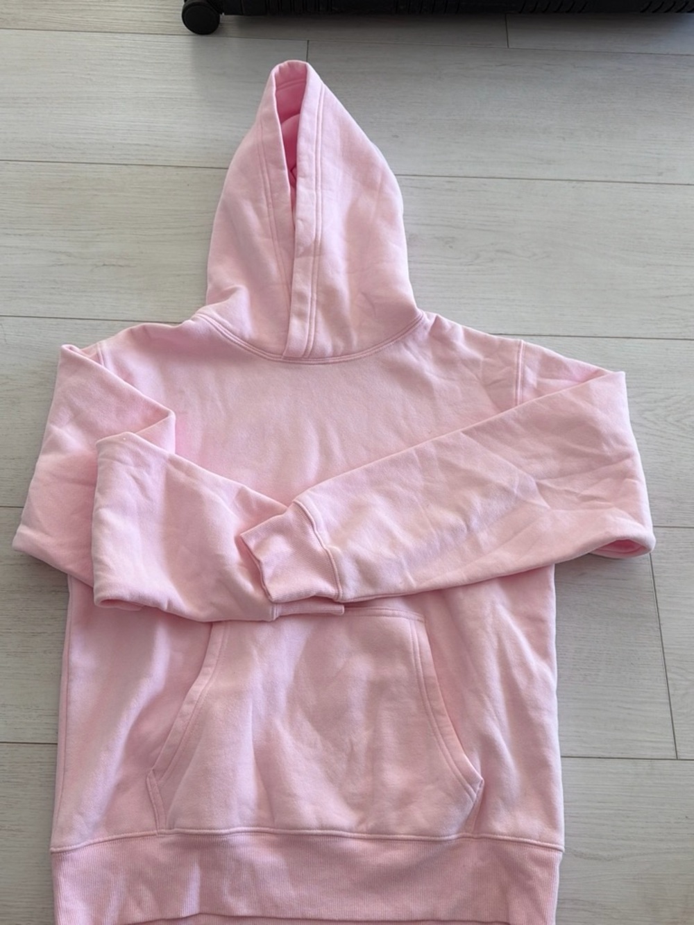 Aritzia hoodie